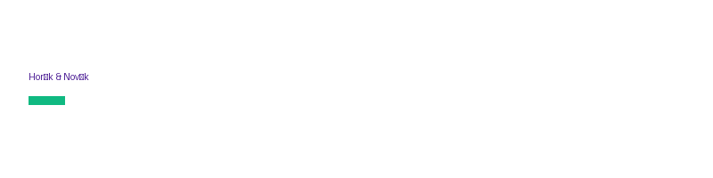 Horák & Novák logo